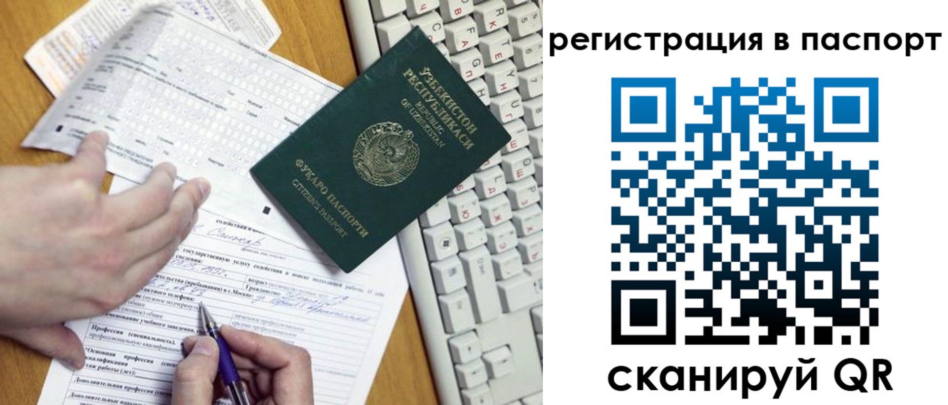 прописка поиск в Владимирской области